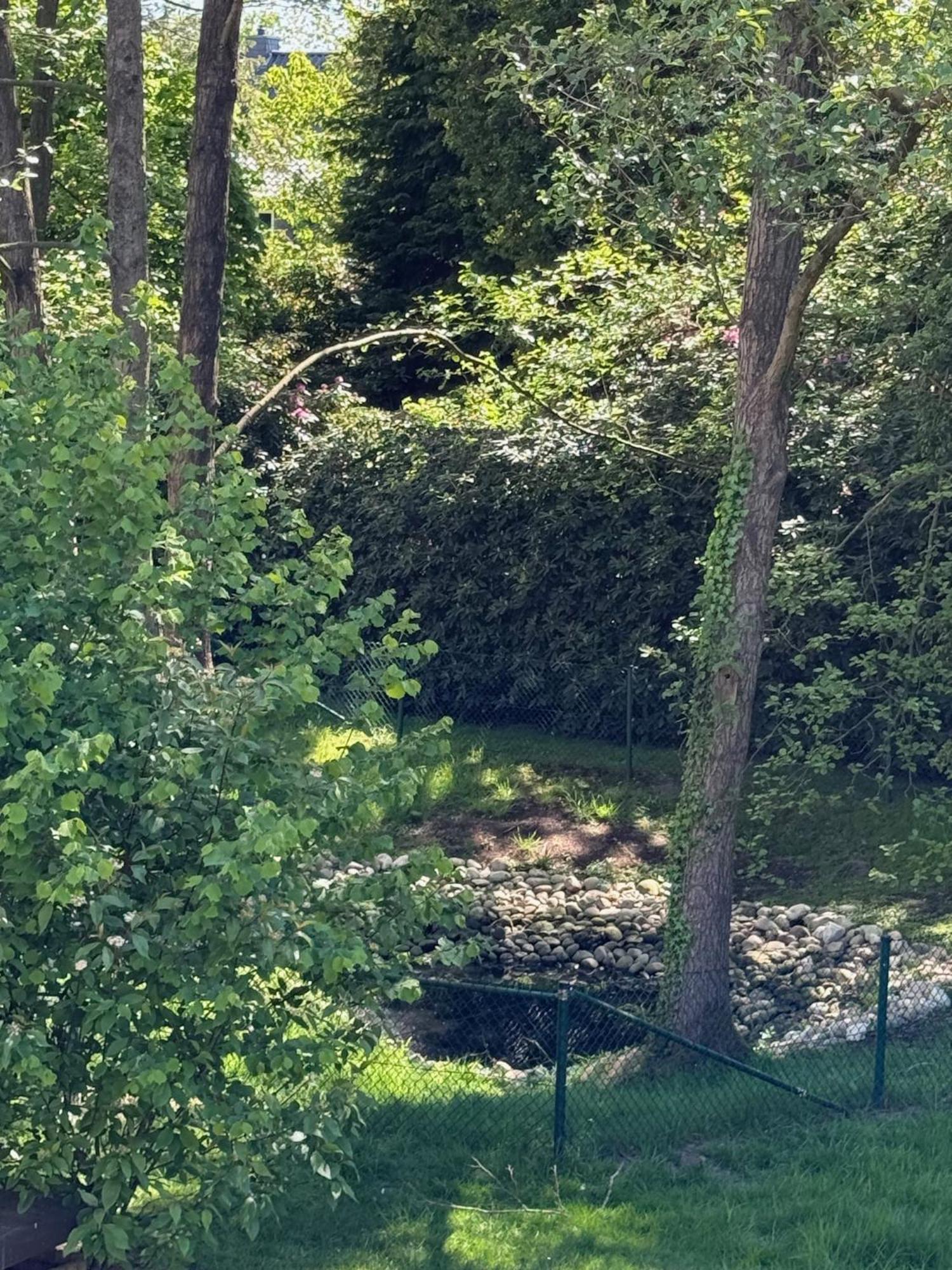 Eichenblick Apartment Bad Zwischenahn Bagian luar foto