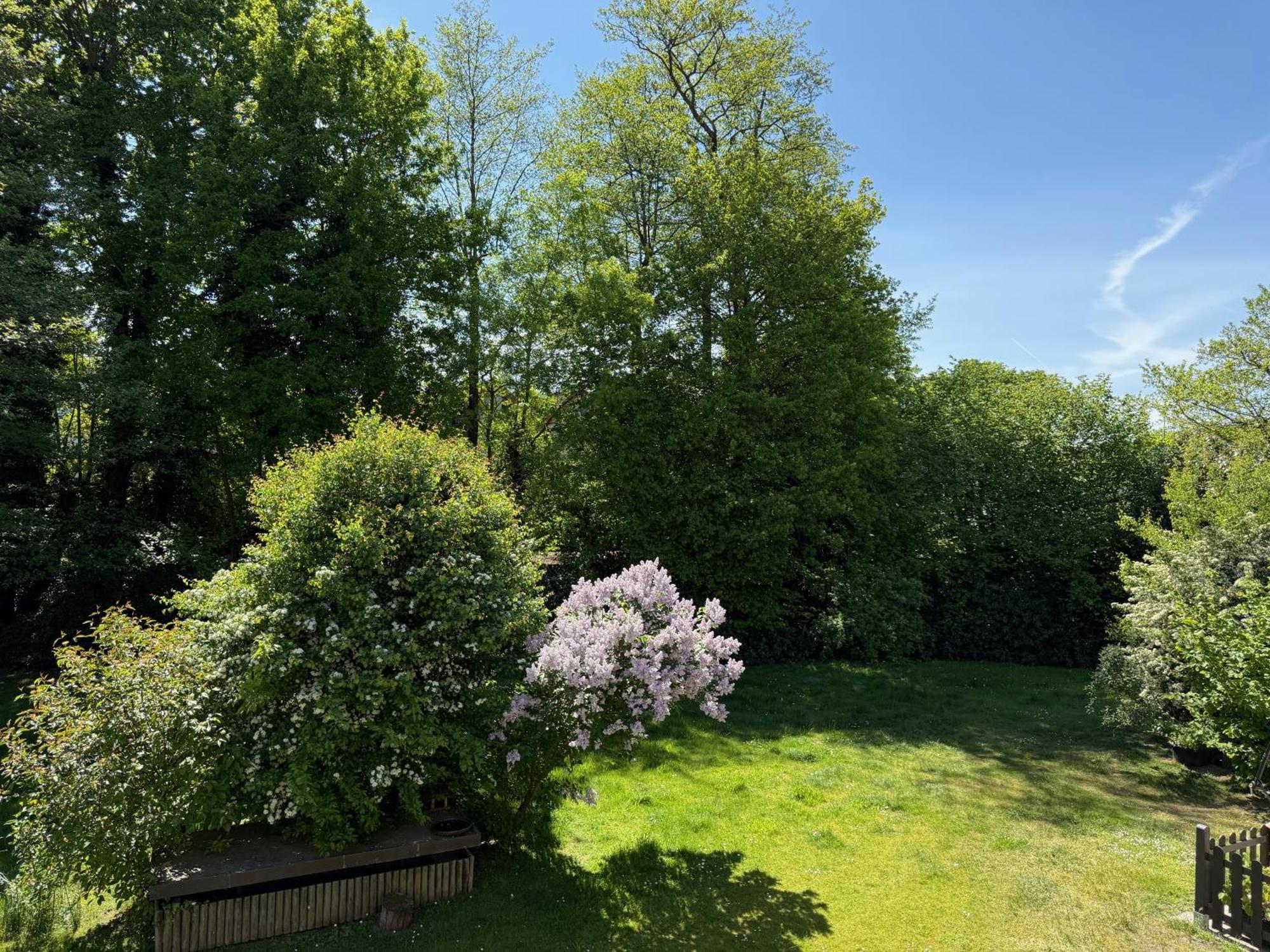 Eichenblick Apartment Bad Zwischenahn Bagian luar foto